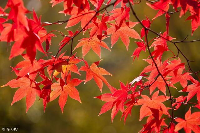 人生，耐得住寂寞，生活，經得住修行