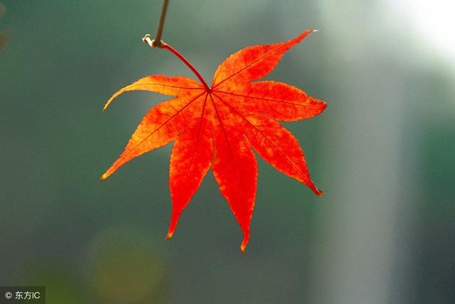 人生，耐得住寂寞，生活，經得住修行