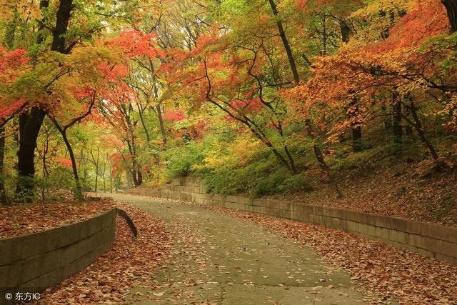 人生，耐得住寂寞，生活，經得住修行
