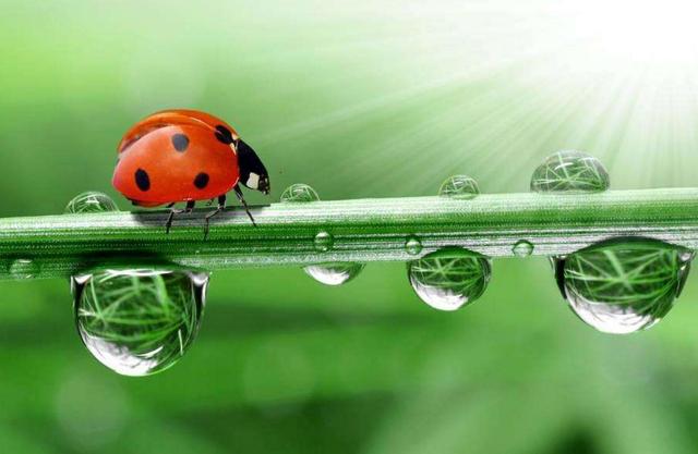 人生有三件“廉價”的無價之寶，最後一件最珍貴