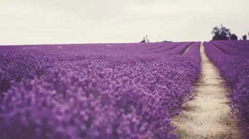 致自己的心靈雞湯語錄,選一句送給自己