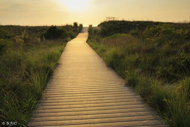 路再難也要堅持走（經典好文）