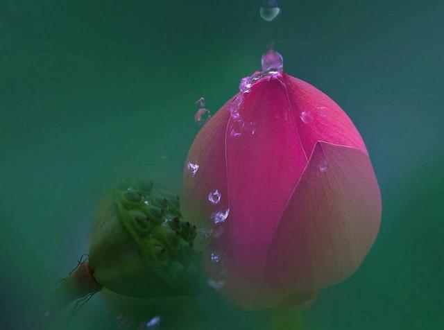 做人，別天天怨氣沖天，因為你要活80年