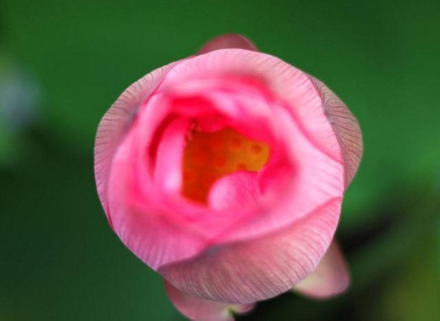 做人，別天天怨氣沖天，因為你要活80年