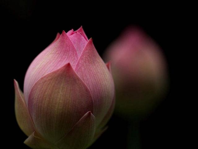 做人，別天天怨氣沖天，因為你要活80年