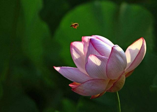 做人，別天天怨氣沖天，因為你要活80年