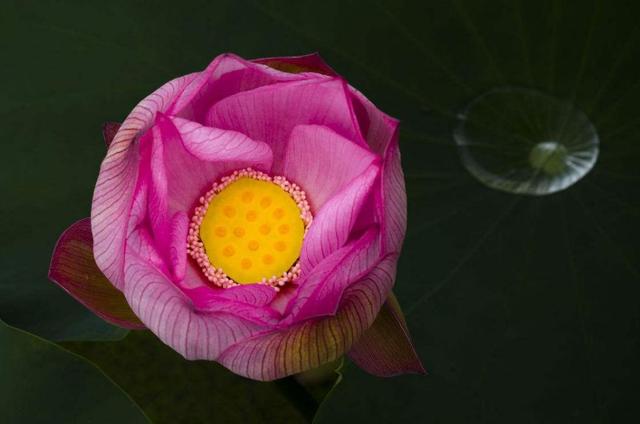 做人，別天天怨氣沖天，因為你要活80年