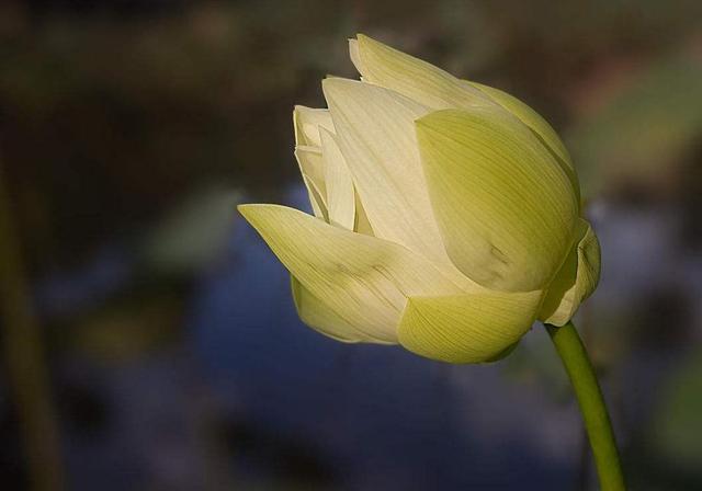 做人，別天天怨氣沖天，因為你要活80年