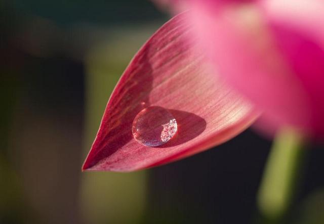 做人，別天天怨氣沖天，因為你要活80年
