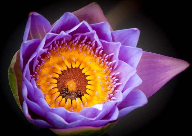 做人，別天天怨氣沖天，因為你要活80年