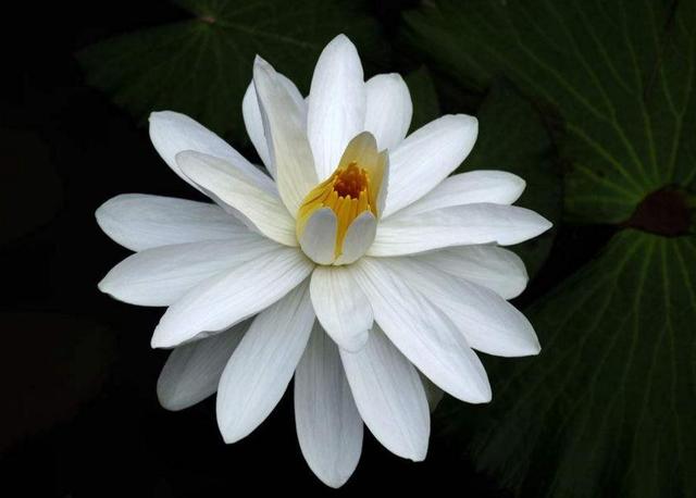 做人，別天天怨氣沖天，因為你要活80年