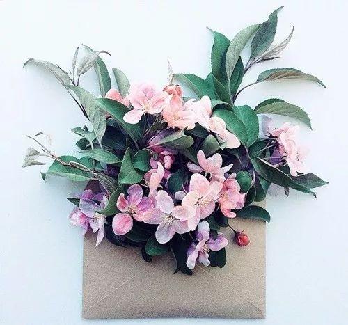 六月，願一切安好！