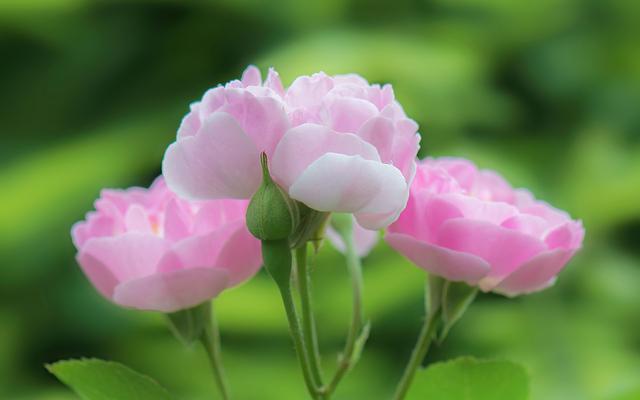 總有一天,你會明白,6句金言,很毒