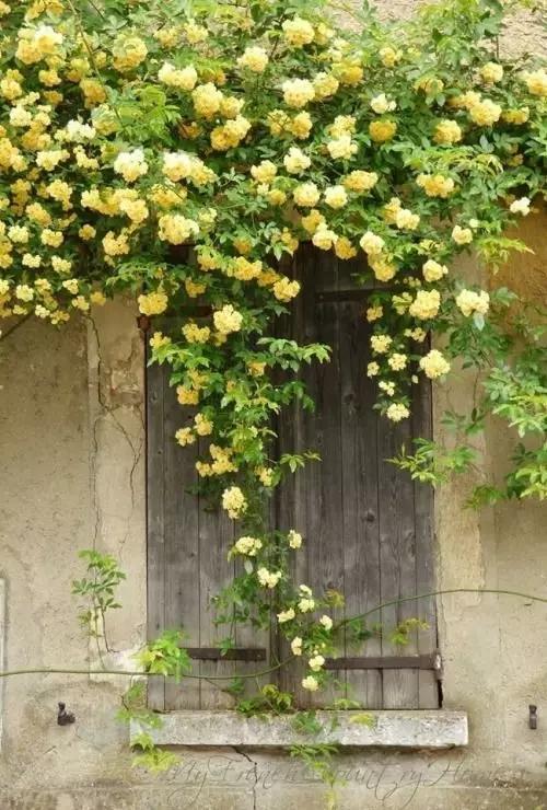 用一顆平常心,平凡的活著! 如此,便好