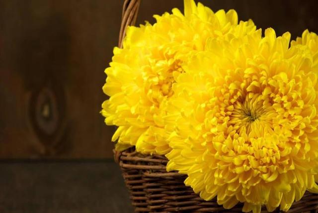 請在人生奮鬥起始階段，就做好失敗的準備