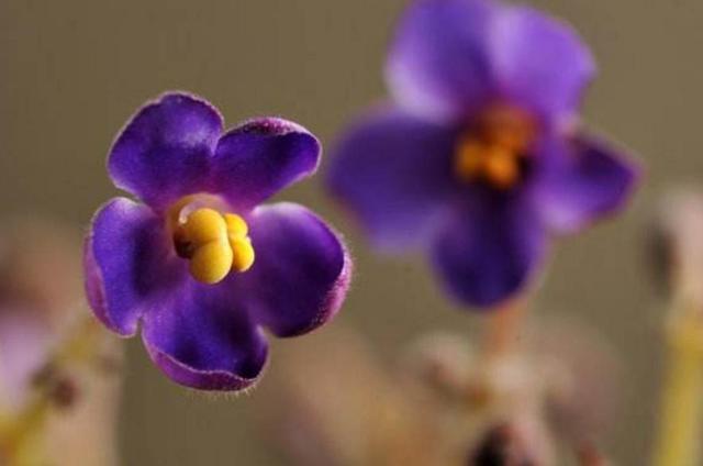 聰明的人,從不在這三個方面爭對錯