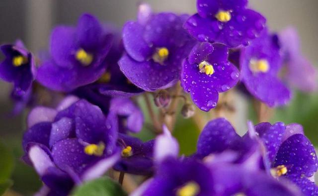 聰明的人，從不在這三個方面爭對錯