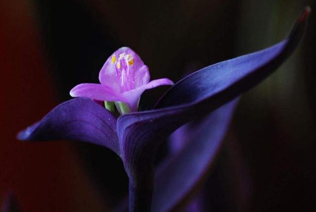 聰明的人，從不在這三個方面爭對錯