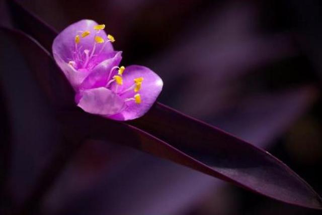 聰明的人，從不在這三個方面爭對錯