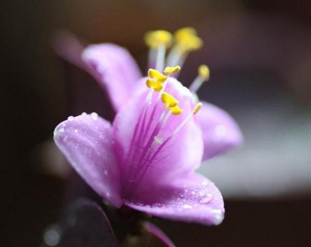 聰明的人，從不在這三個方面爭對錯