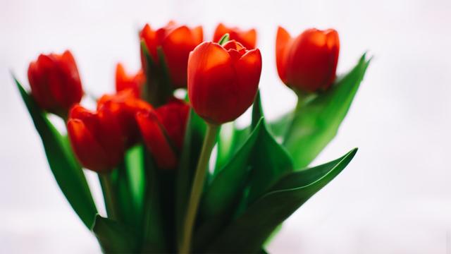 最會處理婆媳關係的三大星座! 和婆婆親如母女! 結婚後旺夫旺子!