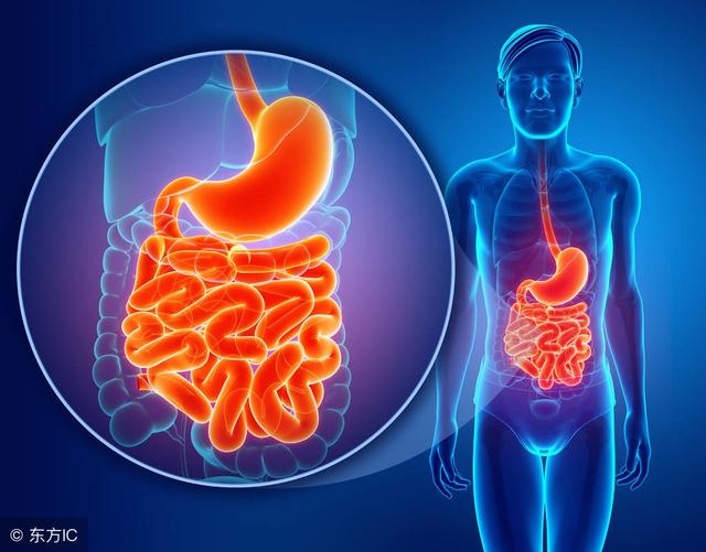 如果這6個表現都沒有，恭喜，你的脾臟還很健康