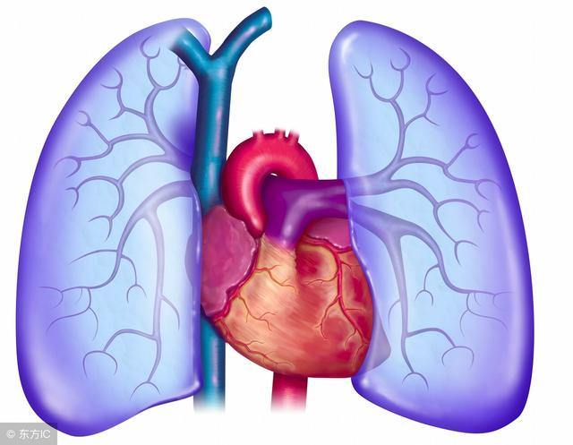 如果這6個表現都沒有，恭喜，你的脾臟還很健康