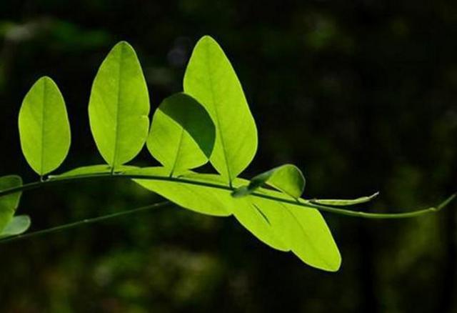一個人,決定遠離家門的時候,必定要承受這三大風險