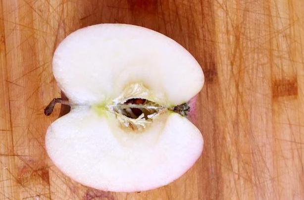 教你做冰涼的西瓜水果拼盤，簡單幾步，讓人食慾大增，降暑又解渴