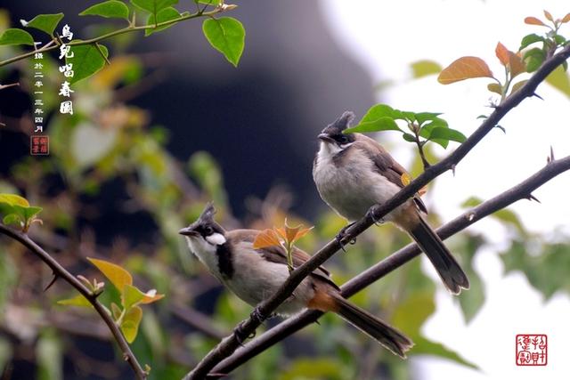 錢，憑良心賺，只求心安；人，憑良心交，只求陪伴