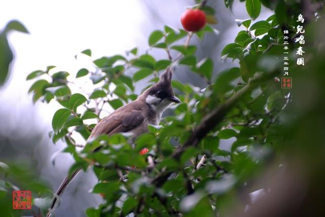 錢，憑良心賺，只求心安；人，憑良心交，只求陪伴