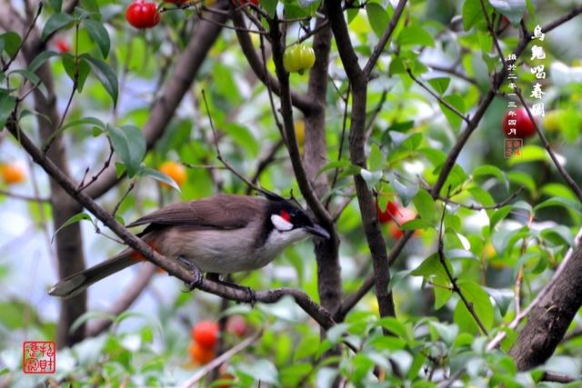 錢，憑良心賺，只求心安；人，憑良心交，只求陪伴