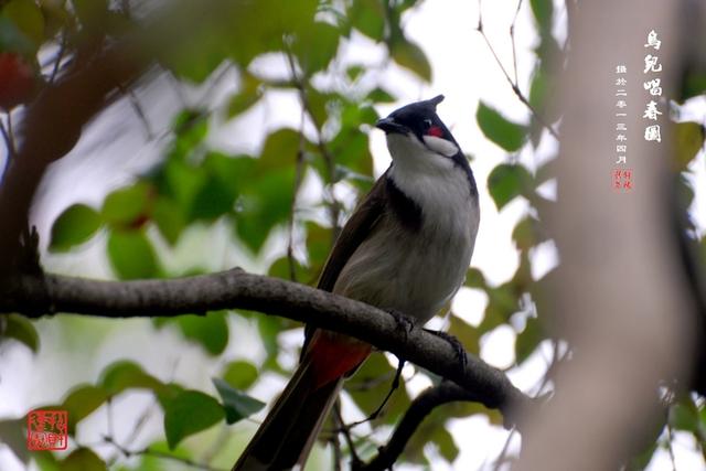 錢，憑良心賺，只求心安；人，憑良心交，只求陪伴