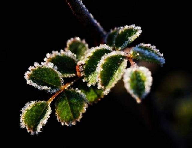 因為窮，我曾經足不出戶