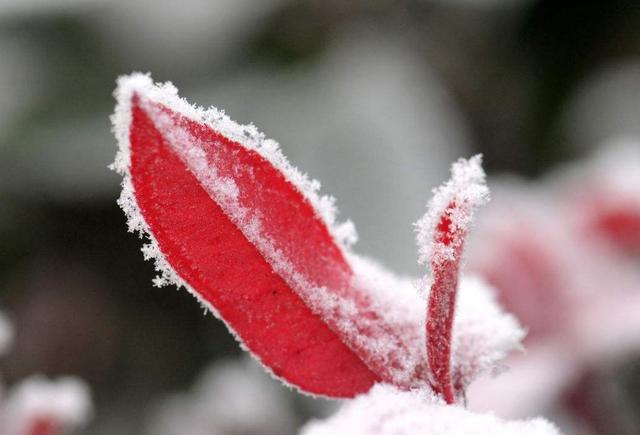 因為窮，我曾經足不出戶