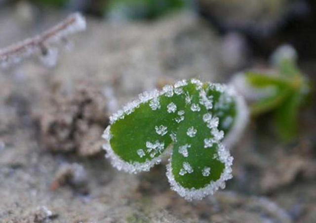 因為窮，我曾經足不出戶