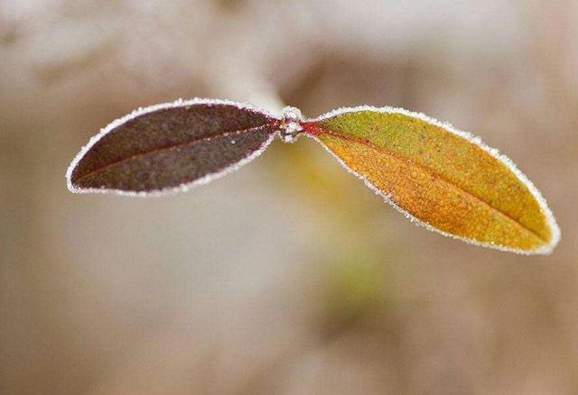 因為窮，我曾經足不出戶
