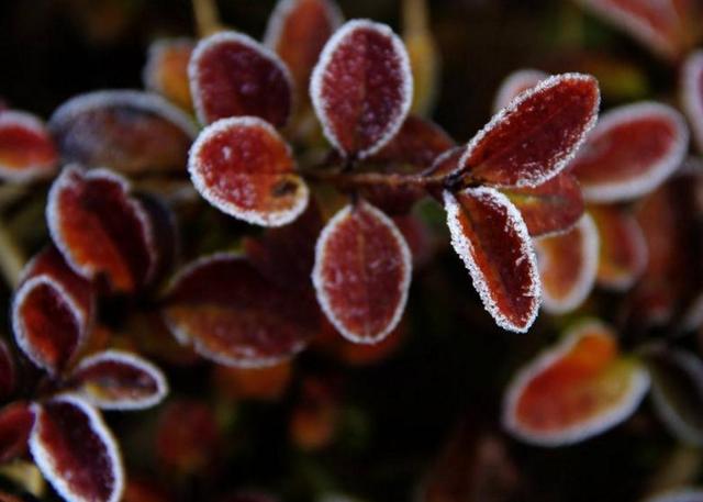 因為窮，我曾經足不出戶