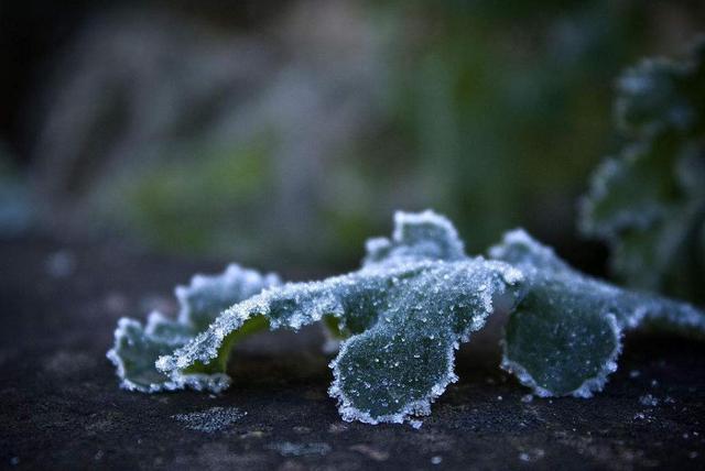 因為窮，我曾經足不出戶