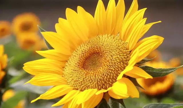 人生苦短自己領悟，人情冷暖自己體會