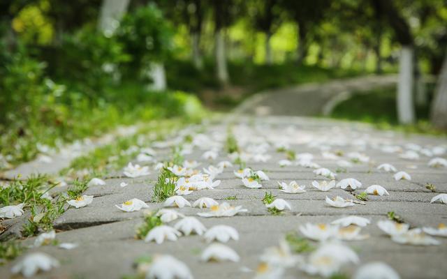 愛我者,惜之;嫌我者,棄之