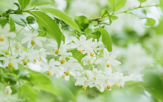 愛我者,惜之;嫌我者,棄之