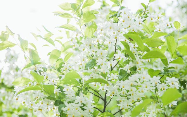 愛我者,惜之;嫌我者,棄之