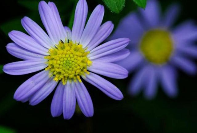 做人沒閒,等於沒錢