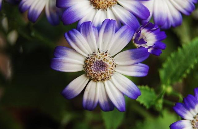 做人沒閒，等於沒錢