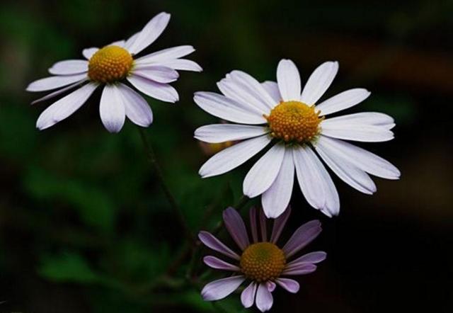 做人沒閒，等於沒錢