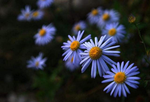 做人沒閒，等於沒錢