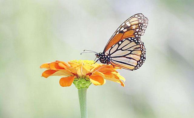 人生旅途為怎麼需要想得開，看得開