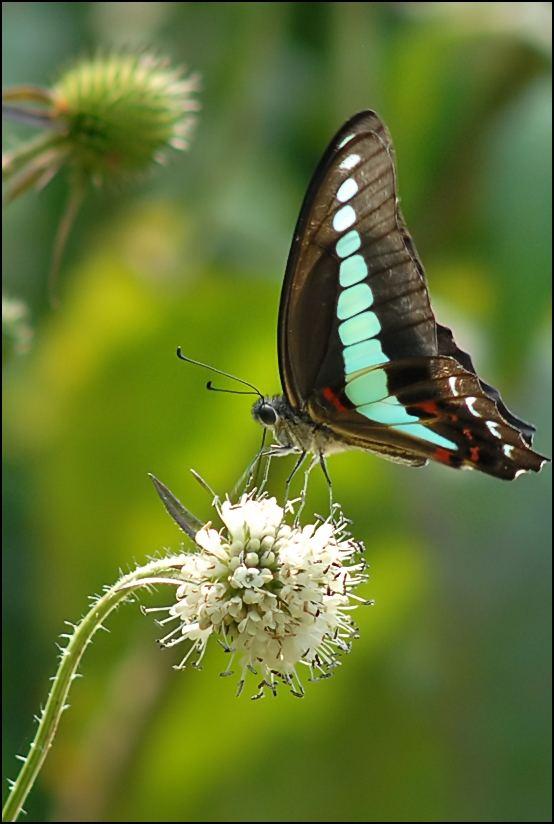人生旅途為怎麼需要想得開，看得開