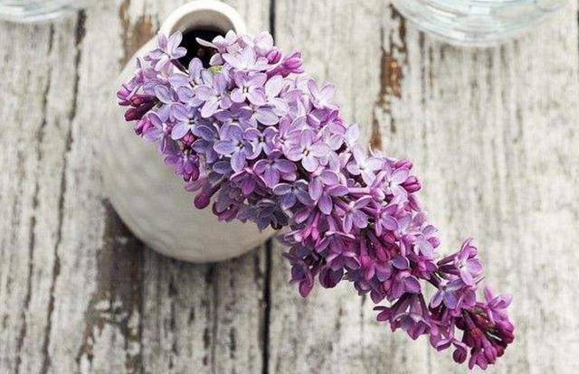 請善待，一路滄桑的自己